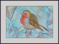 alison robin web