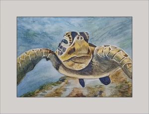 alison simpson turtle web
