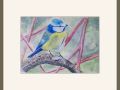 alison simpson.blue tit web
