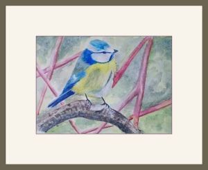 alison simpson.blue tit web