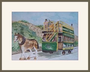 alison.harbour tram