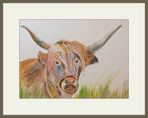 alison.highlan cow web