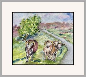 anne colman cows gordon web