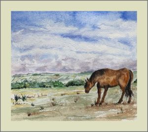 anne colman exmoor web