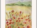 anne colman poppies on a string