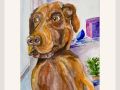 anne colman scooby dooby doo