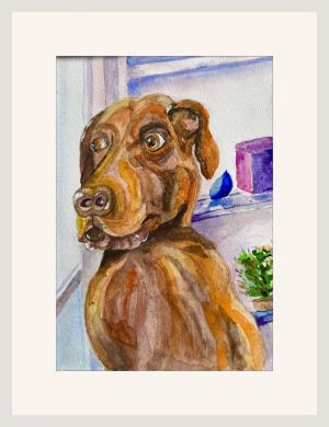 anne colman scooby dooby doo