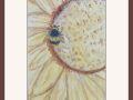carol bumble bee and sunflower