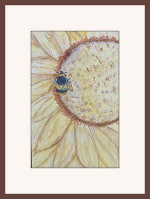 carol bumble bee and sunflower