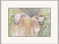 carol cow gordons web