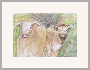 carol cow gordons web
