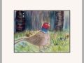 carol pheasant