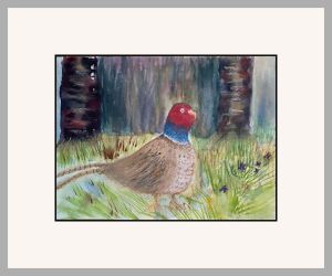 carol pheasant