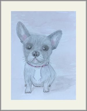 carol trixie web