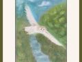 carol wellman barn owl chog