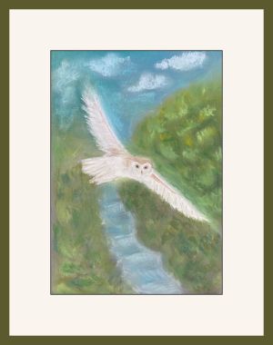 carol wellman barn owl chog