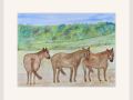 carol wellman exmoor ponies