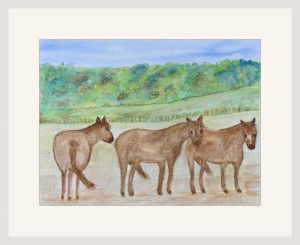 carol wellman exmoor ponies