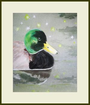 cheissy mallard duck web