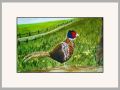chrissie b pheasant web