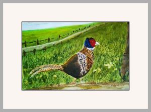chrissie b pheasant web