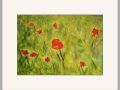 chrissie b poppies on a string