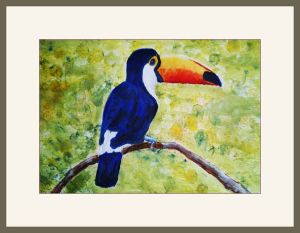 chrissieb toucan web