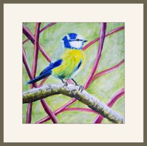 chrissy b blue ti web