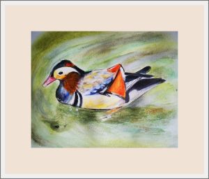 chrissy b mandarin duck web