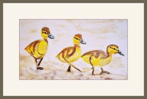 chrissy ducklings web  