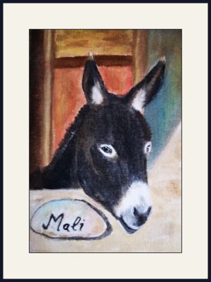 chrissy mali donkey web