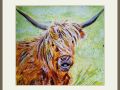 chrissyb.highland cow