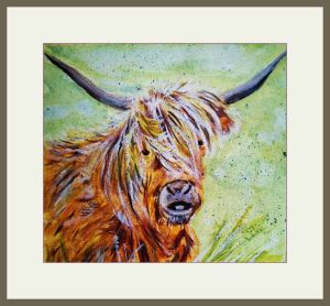 chrissyb.highland cow
