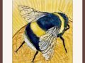 gordon bumble bee and sunflower