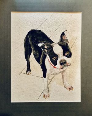 gordon colman trixie dolly web