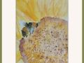jackie bumble and sunflower pt1