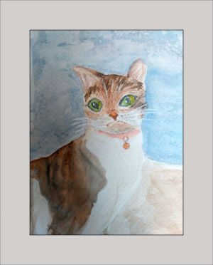 jackie christmas kitten web