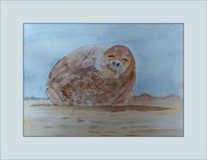 jackie seal lion web