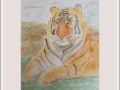 jackie tiger indian web