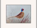 jackie wright pheasant