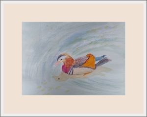 jakie  mandarin duck web