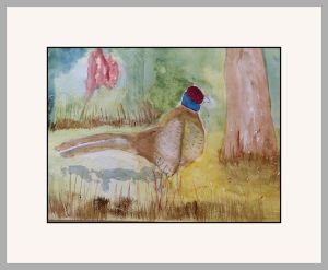 joy serriff pheasant web