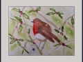 joy sherrif robin web