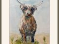 joy sherrif sussex scene highland cow web