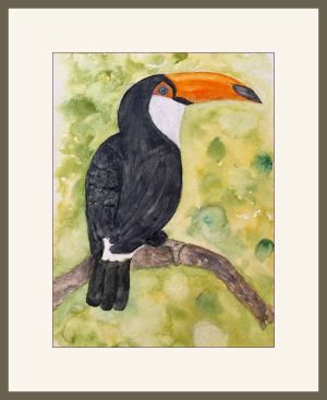 joy sherrif toucan web