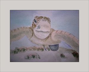 joy sherrif turtle web