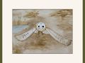 joy sherriff barn owl chog