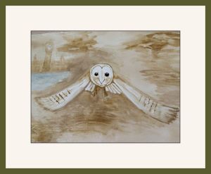 joy sherriff barn owl chog