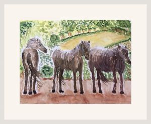 joy sherriff exmoor ponies