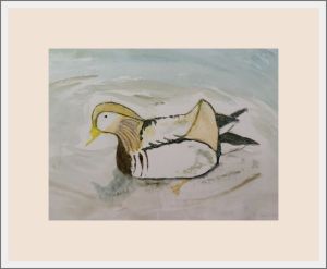 joy sherriff mandarin duck web